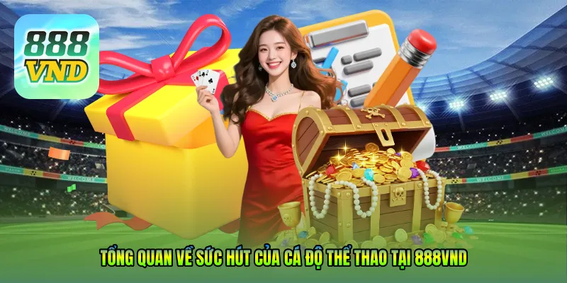 Tổng quan về sức hút của Cá độ thể thao tại 888VND